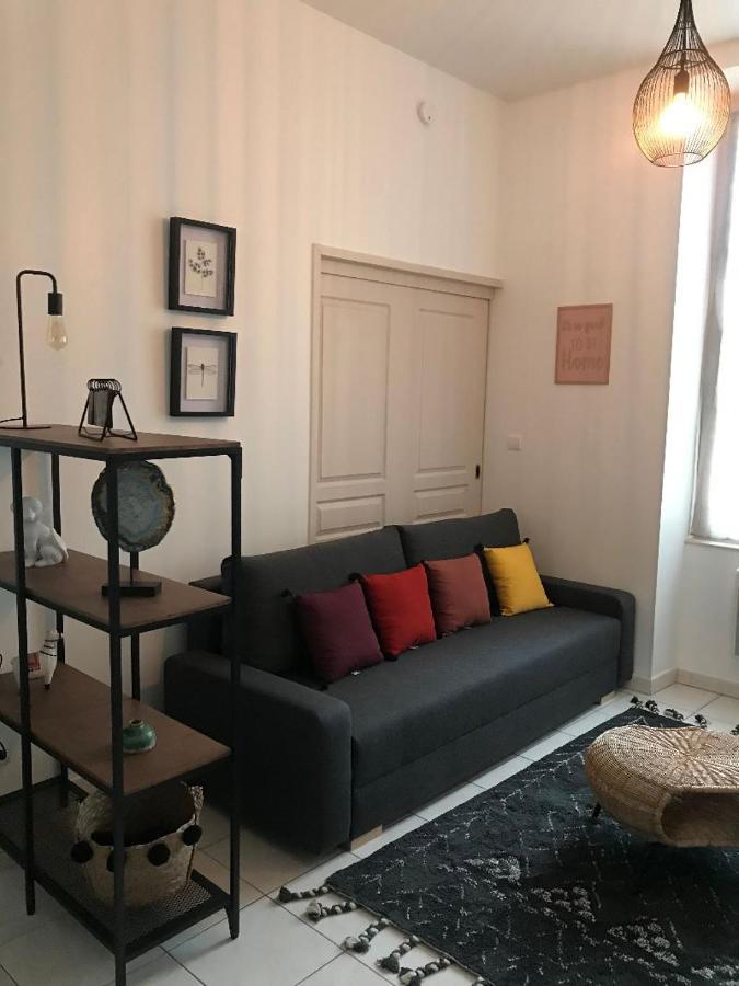 Apartamento Bord De Tarn Albi Exterior foto